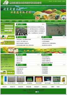 黑龙江巨龙食品科技开发图册软件开发方案